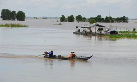 Mực nước sông Mekong cao hơn cùng kỳ nhiều năm gần đây