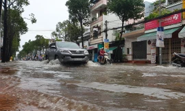 Triều cường dự báo tái lập mốc kỷ lục, Cần Thơ họp bàn cách ứng phó