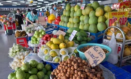 Xuất khẩu nông sản sang Trung Quốc gặp hàng loạt thách thức