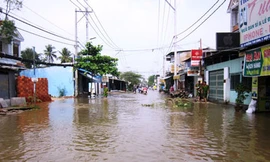 Vỡ đê bao, hơn 200 hộ dân bị chìm trong biển nước