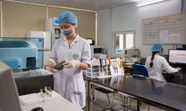 Giáo dục đại học Việt Nam có thêm 2 lĩnh vực được xếp hạng quốc tế 