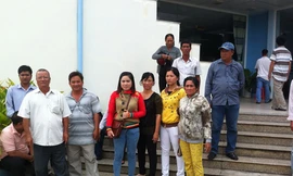 Nông dân nuôi cá tra mất vốn