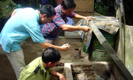 Kiểm tra đại lý bán ‘xăng thối’