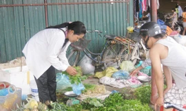 Kiểm tra formol trong cải thảo nhập từ Trung Quốc