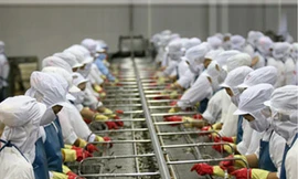 Báo động doanh nghiệp phá sản