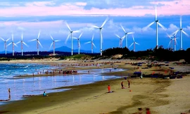 Ngỡ ngàng vẻ đẹp mê hoặc của cánh đồng điện gió trên biển Quy Nhơn