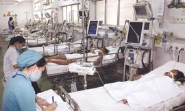 Đối phó bốn bệnh dịch