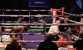 Võ sĩ quỳ gối sau khi hạ đo ván knock-out đối thủ