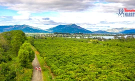 Tiền Phong Marathon 2021: Công tác chuẩn bị của các nhà hàng tại Pleiku đã sẵn sàng