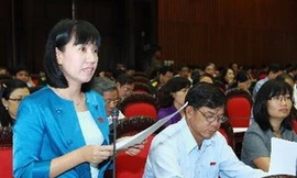 Luật xử lý vi phạm hành chính: Phạt tối đa 2 tỷ đồng