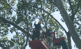 Còn lương 'khủng' sẽ kỷ luật Giám đốc Sở Tài chính