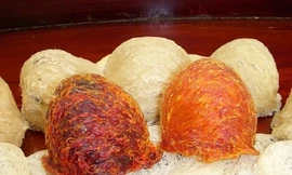 Mỹ kinh ngạc người Việt bỏ tiền triệu ăn yến