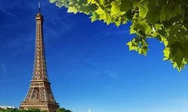 Một ngày 'bụi' ở Paris