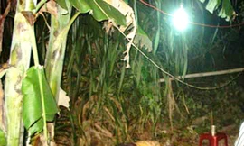 Nghi án con tâm thần đánh chết cha