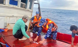 Bắt giữ tàu cá chở 30.000 lít dầu không giấy tờ trên biển Tây Nam