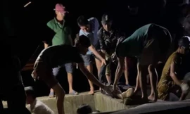 Người đàn ông tử vong khi lặn đục hàu tại Cà Mau