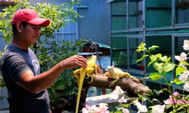 Bỏ việc văn phòng, chàng trai nuôi 'thú cưng độc lạ' ở miền Tây thu trăm triệu mỗi năm