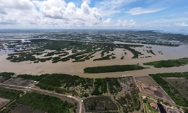 Một phụ nữ bị phạt nửa tỷ đồng vì lấn chiếm hơn 100.000m2 đất đầm