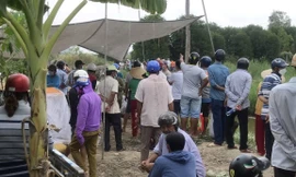 Xuyên đêm bơm thoát nước, phát hiện thi thể dưới vuông tôm