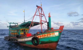 Ngư dân Kiên Giang bị nhóm người lạ tấn công bằng bom xăng, đạn chì trên biển