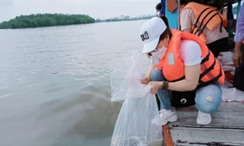 Cần Thơ thả 150.000 con cá tái tạo nguồn lợi thủy sản