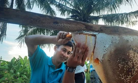 Cà Mau tổ chức chuỗi sự kiện mang đậm bản sắc vùng cực Nam Tổ quốc