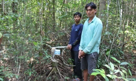 Tạm giữ 4 đối tượng khai thác gỗ hiếm trong rừng đặc dụng ở Phú Quốc