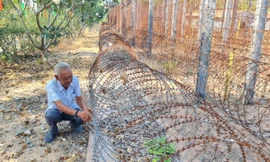 Trại giam tù binh Phú Quốc: 50 năm hồi ức mang tên 'địa ngục trần gian'