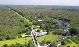 Kiên Giang: Người đứng đầu chịu trách nhiệm nếu để xảy ra cháy rừng lớn, nghiêm trọng