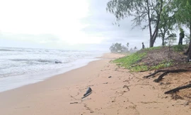 7 thi thể trôi dạt vào bờ biển Phú Quốc nghi liên quan vụ đắm tàu