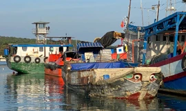 Bắt tàu không số chở hơn 10 tấn đường lậu trên biển 