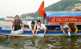 Kiên Giang thả hơn 2 triệu con tôm, cua, cá ra đầm