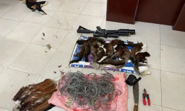 3 đối tượng vào Vườn quốc gia Phú Quốc săn, bắt động vật quý hiếm