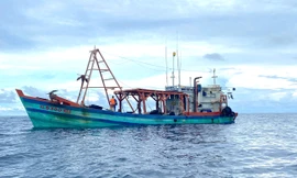 Liên tiếp bắt giữ tàu cá chở lượng lớn dầu lậu trên biển Tây Nam