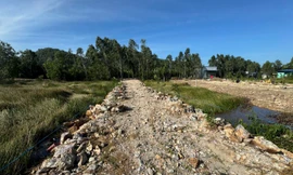 Kiên Giang phạt 600 triệu đồng 2 người chiếm đất công