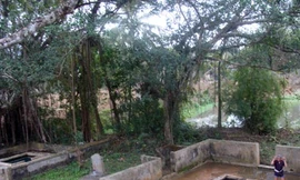 Truy tìm kho báu cổ của người Mường Voong