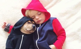 Beau và Theo ngày nào cũng ngủ cùng nhau