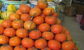 Săn quà quê biếu tết sếp