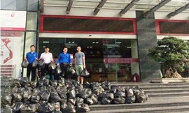 Nhân viên Chi nhánh Trung Yên - Ngân hàng Agribank mua dứa cho nông dân