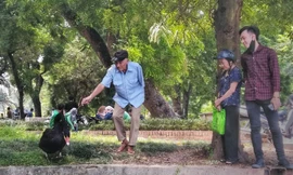 Du khách có thể lại rất gần, chạm vào thiên nga