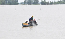 Mùa lũ Đồng Tháp