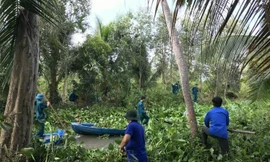 Hậu Giang thực hiện 4.914 công trình, phần việc trong Tháng Thanh niên