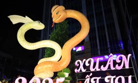 Linh vật rắn tạo hình trái tim tình yêu trên đường hoa Xuân dài 300m ở Cần Thơ