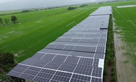 'Bỏ túi' tiền tỷ khi làm nông kết hợp sản xuất điện mặt trời 