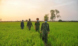 Đồng Tháp yêu cầu siết chặt biên giới, ngăn người nhập cảnh trái phép