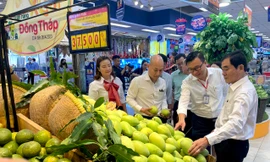 Xoài Đồng Tháp lên kệ nhiều siêu thị 