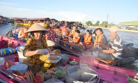 Điểm yếu của du lịch Đồng bằng sông Cửu Long