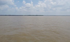 Bến Tre công bố 6 mỏ cát đấu giá quyền khai thác năm 2024