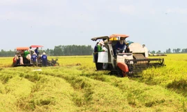 Cảnh báo 'cò' tín chỉ carbon gây nguy hiểm