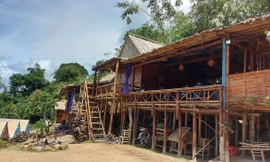 Chủ tịch An Giang hủy kết luận yêu cầu các homestay núi Cấm giữ nguyên hiện trạng